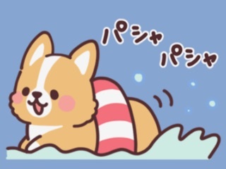 D3B5DC62-2605-47CE-A1EC-3ED2C1552A61.jpeg