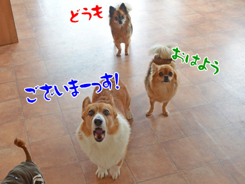 2013.11.14_000.jpg