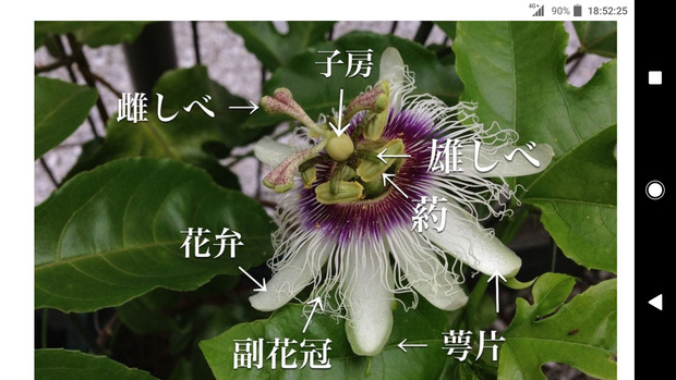 Screenshot_20230627-185227.png