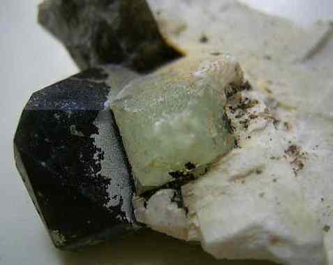 fluoriteHIRUKAWA1.jpg