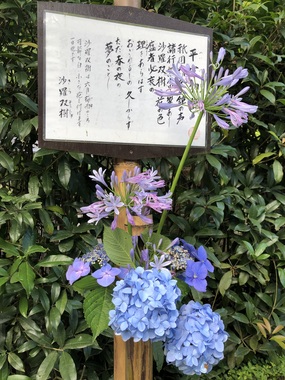 IMG_0729.jpeg