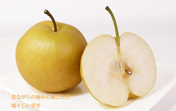 2948A327-A16A-48A2-845D-996E85D84556.jpeg