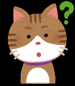 cat3_1_question.png