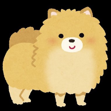 dog_pomeranian.jpg