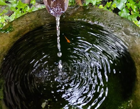DSC_3031_3.JPG