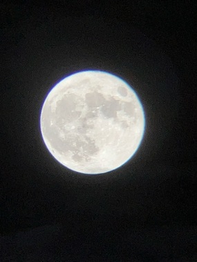 IMG_0482_Original.jpeg