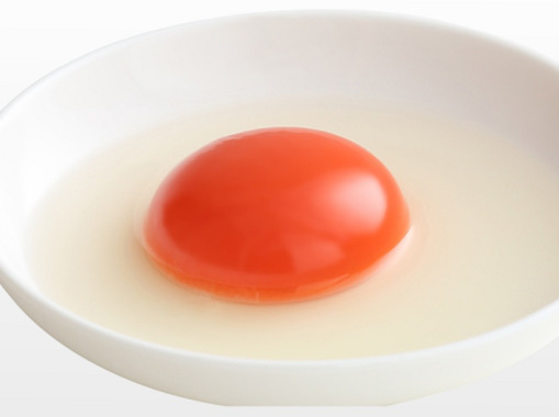 egg.png