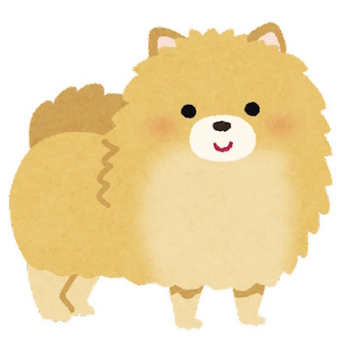 dog_pomeranian.jpg