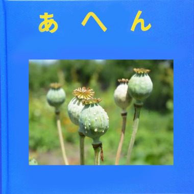 画像_20230920_0430.png