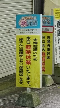 DSC_3144.JPG