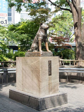忠犬ハチ公.jpg