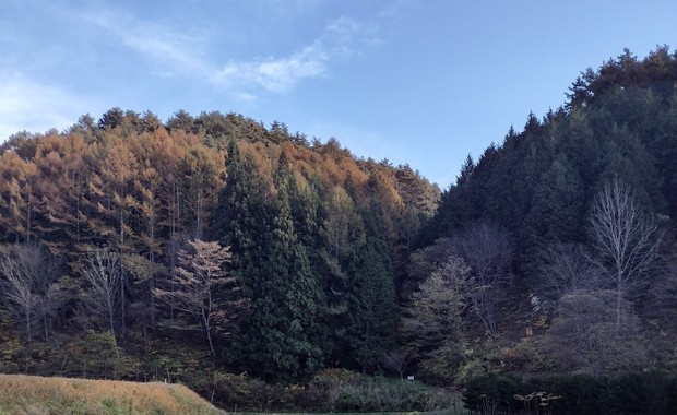IMG_20231105_145411507_HDR_2.jpg