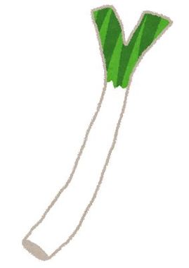 negi_green_onion.jpg