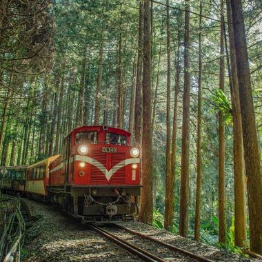 alishan-forest-railway.jpg