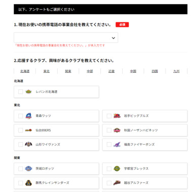 FireShot_Capture_082_-_B.LEAGUE会員登録_-_B.LEAGUEチケット_-_bleague-ticket.psrv.jp.png