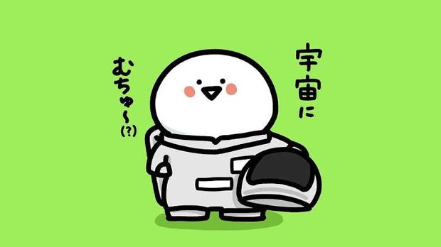 images_(14).jpeg