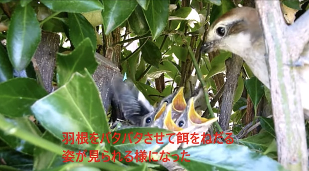 Screenshot_20240301-074649_2.png