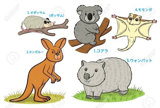 images_(3)_3.jpeg