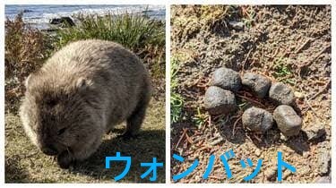 images_(2)_4.jpeg
