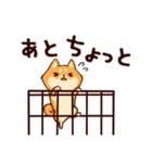 images.png
