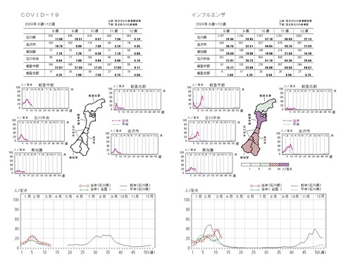 w202_covid19_12week.jpg