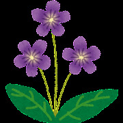 flower_sumire.png