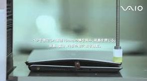 vaio.jpg