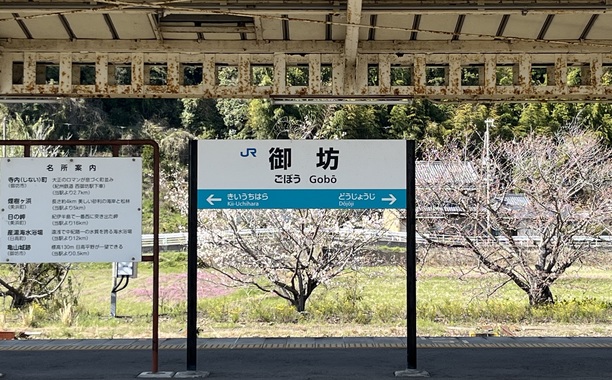 IMG_4680.jpeg