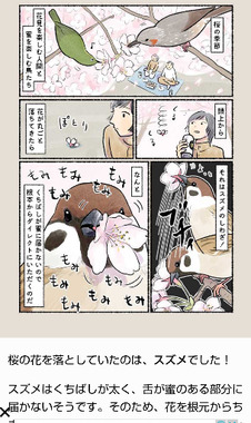 Screenshot_20240411-000514.png