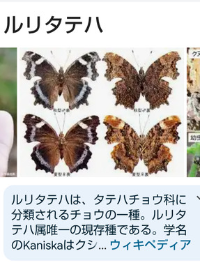 Screenshot_20240412-210413.png