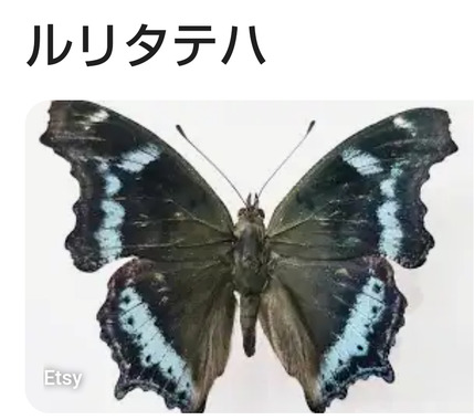 Screenshot_20240412-210351.png