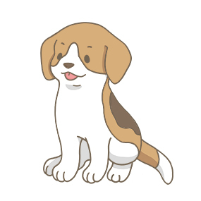 dog-beagle-thumbnail.jpg