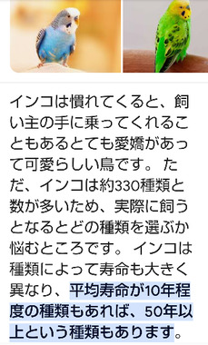 Screenshot_20240415-191354.png