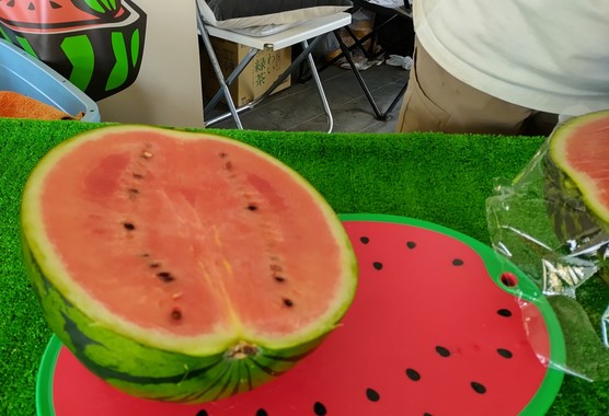 DSC_0532.JPG
