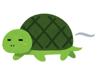 speed_slow_turtle_result.jpg