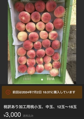 IMG_8576.jpeg
