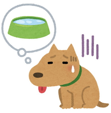 pet_dog_thirsty.jpg