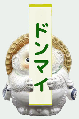 たぬき白ドンマイ.jpg