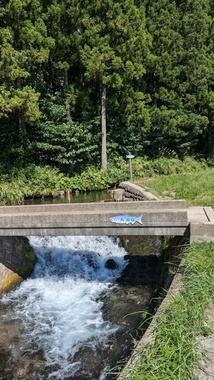 PXL_20240925_032146965.jpg