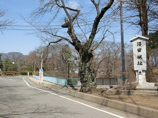 Ruins_of_Numata_Castle_01.JPG