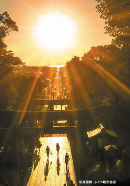 宮地嶽神社.jpg