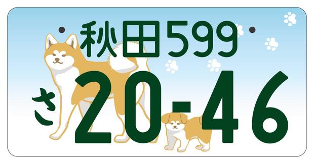 1地方版第3弾_フルカラー版_登録車自家用_表示文字あり_秋田.jpg