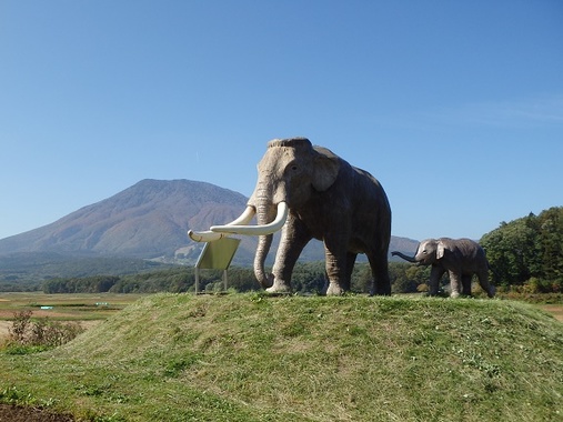 野尻湖ナウマン象博物館.jpg