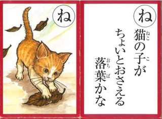 ねこ.jpg