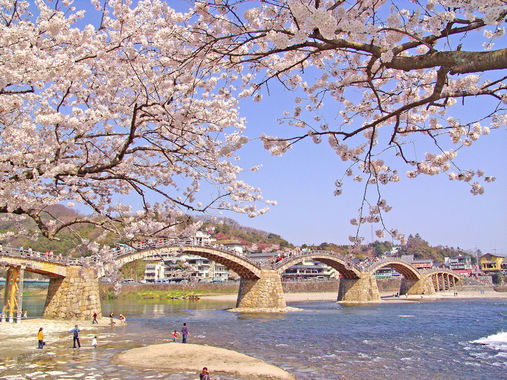 錦帯橋　春.jpg