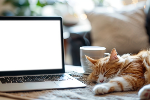 vecteezy_laptop-mockup-with-cute-cat_47203263.jpeg