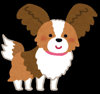 dog_papillon.png