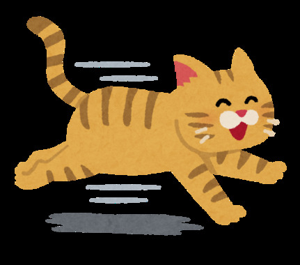 run_cat_smile.png