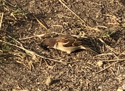 IMG_1404.jpeg