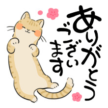 dr_p5177.gif